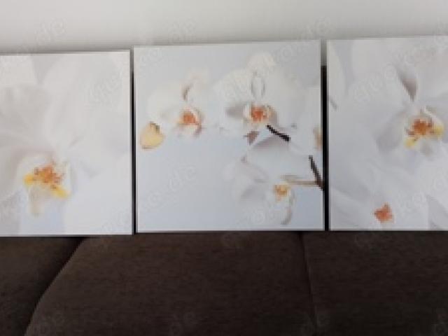 Orchideen Leinwand Bilder IKEA 3er Set - 1